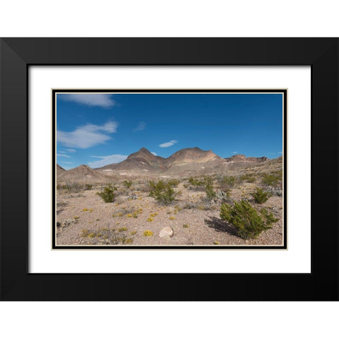 Scenery in Big Bend National Park, TX Black Modern Wood Framed Art Print with Double Matting by Highmith, Carol