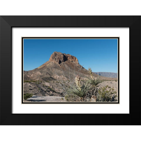 Scene from Big Bend National Park in Brewster County, TX Black Modern Wood Framed Art Print with Double Matting by Highmith, Carol