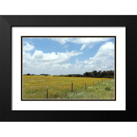 A field of wildflowers near Chappel Hill in Austin County, TX, 2014 Black Modern Wood Framed Art Print with Double Matting by Highmith, Carol