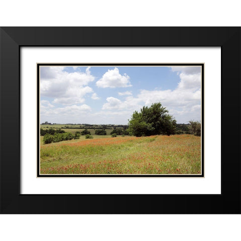 A field of wildflowers near Chappel Hill in Austin County, TX, 2014 Black Modern Wood Framed Art Print with Double Matting by Highmith, Carol