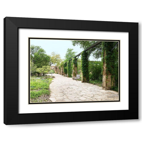 Paved walkway at the Lady Bird Johnson Wildflower Center, near Austin, TX Black Modern Wood Framed Art Print with Double Matting by Highmith, Carol