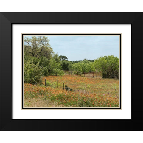 Field of wildflowers in Gonzales County, TX Black Modern Wood Framed Art Print with Double Matting by Highmith, Carol