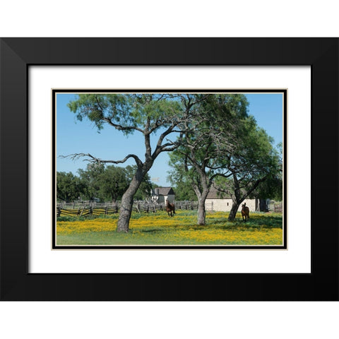 Horses gallop toward the camera in a wildflower-rich National Park Service meadow in Johnson City, T Black Modern Wood Framed Art Print with Double Matting by Highmith, Carol