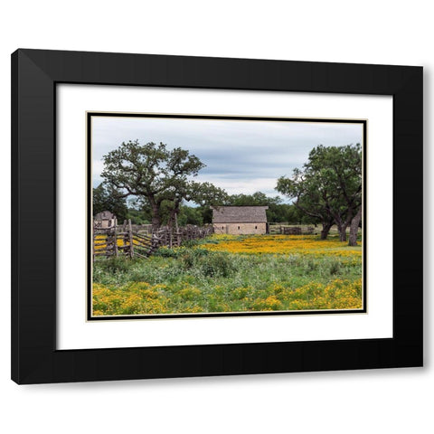 Vivid field of wildflowers in the Lyndon B. Johnson National Historical Park in Johnson City, TX Black Modern Wood Framed Art Print with Double Matting by Highmith, Carol