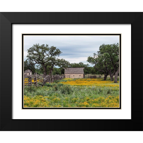 Vivid field of wildflowers in the Lyndon B. Johnson National Historical Park in Johnson City, TX Black Modern Wood Framed Art Print with Double Matting by Highmith, Carol