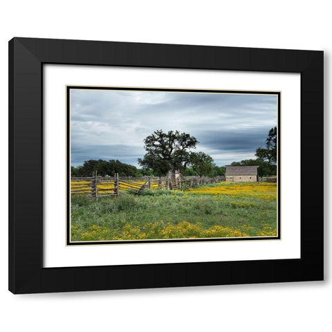 A beautiful wildflower array in a meadow in Johnson City, TX Black Modern Wood Framed Art Print with Double Matting by Highmith, Carol