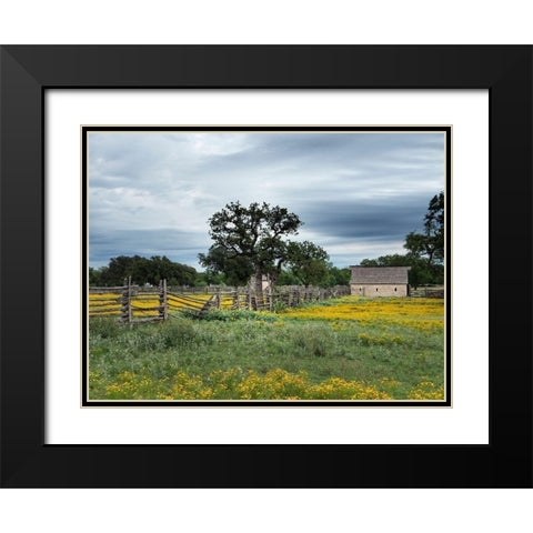 A beautiful wildflower array in a meadow in Johnson City, TX Black Modern Wood Framed Art Print with Double Matting by Highmith, Carol