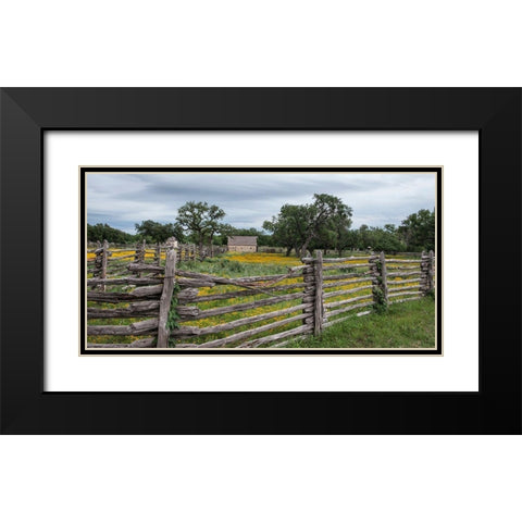 Vivid field of wildflowers in the Lyndon B. Johnson National Historical Park in Johnson City, TX Black Modern Wood Framed Art Print with Double Matting by Highmith, Carol