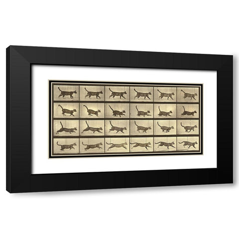 Motion Study: Running Cat Black Modern Wood Framed Art Print with Double Matting by Muybridge, Eadweard J.