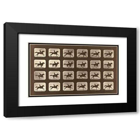 Motion Study: Man Riding A Galloping Horse Black Modern Wood Framed Art Print with Double Matting by Muybridge, Eadweard J.