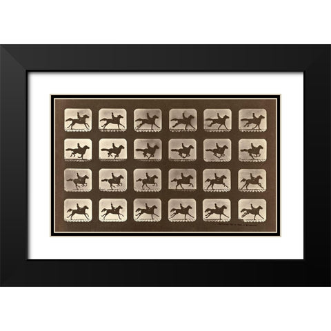 Motion Study: Man Riding A Galloping Horse Black Modern Wood Framed Art Print with Double Matting by Muybridge, Eadweard J.