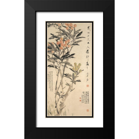 Pipa Loquats Black Modern Wood Framed Art Print with Double Matting by Xugu