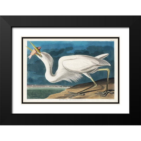 Great White Heron Black Modern Wood Framed Art Print with Double Matting by Audubon, John James