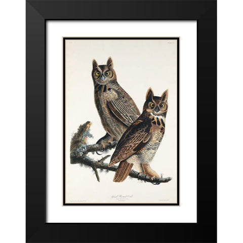 Great Horned Owl Black Modern Wood Framed Art Print with Double Matting by Audubon, John James