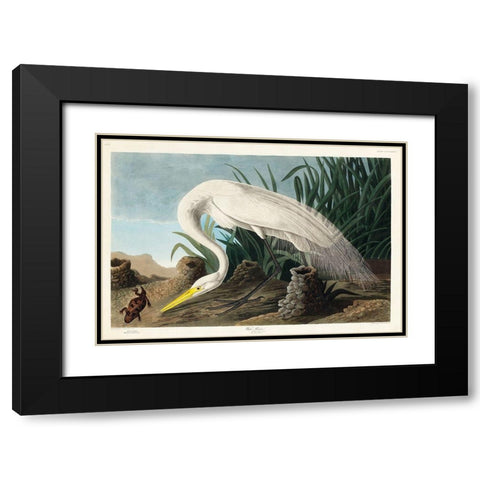 White Heron Black Modern Wood Framed Art Print with Double Matting by Audubon, John James