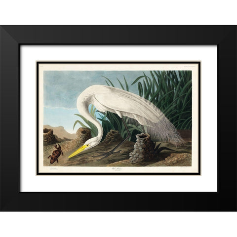 White Heron Black Modern Wood Framed Art Print with Double Matting by Audubon, John James