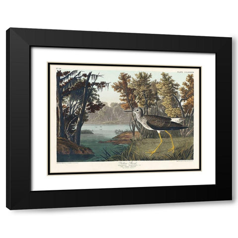 Yellow Shank Black Modern Wood Framed Art Print with Double Matting by Audubon, John James