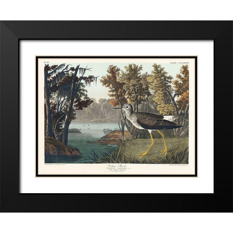 Yellow Shank Black Modern Wood Framed Art Print with Double Matting by Audubon, John James