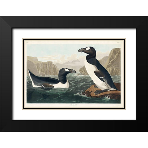 Great Auk Black Modern Wood Framed Art Print with Double Matting by Audubon, John James
