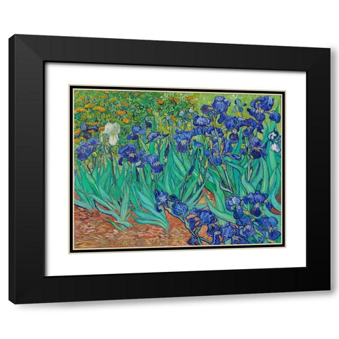 Irises (1889) Black Modern Wood Framed Art Print with Double Matting by Van Gogh, Vincent