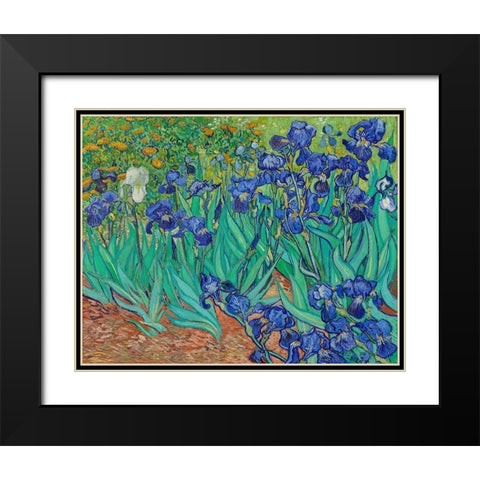 Irises (1889) Black Modern Wood Framed Art Print with Double Matting by Van Gogh, Vincent