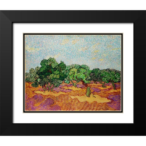 Olive Trees (1889) Black Modern Wood Framed Art Print with Double Matting by Van Gogh, Vincent