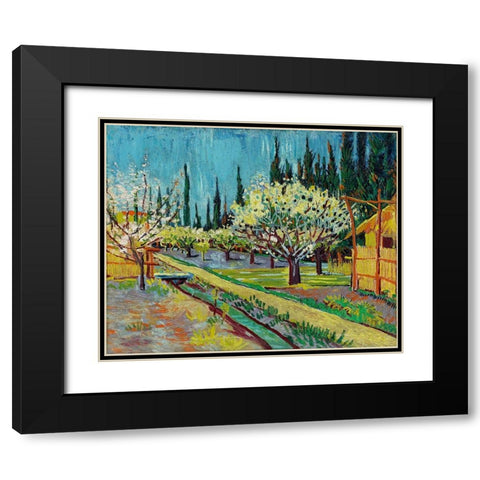 Orchard Bordered by Cypresses (1888) Black Modern Wood Framed Art Print with Double Matting by Van Gogh, Vincent