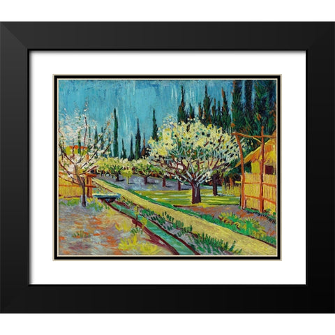 Orchard Bordered by Cypresses (1888) Black Modern Wood Framed Art Print with Double Matting by Van Gogh, Vincent
