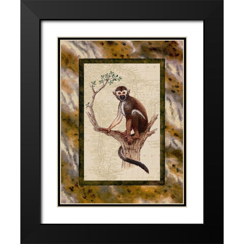 Squirrel Monkey Black Modern Wood Framed Art Print with Double Matting by Kruskamp, Janet
