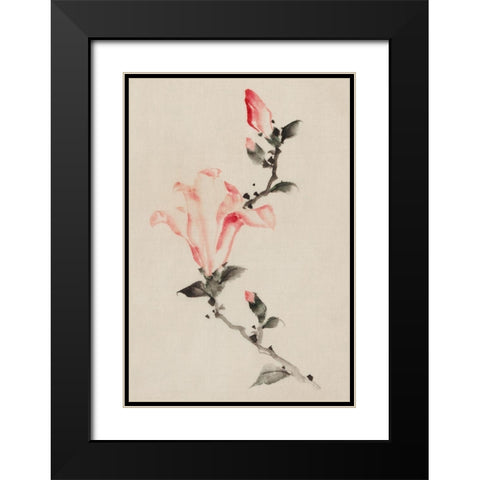 Large Pink Blossom on a Stem with Three Additional Buds Black Modern Wood Framed Art Print with Double Matting by Hokusai, Katsushika