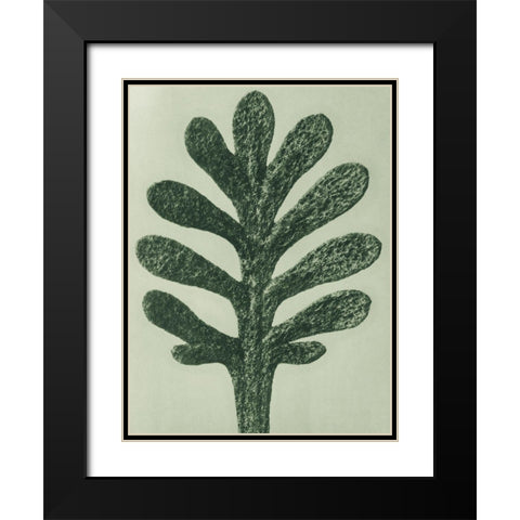 Achillea Umbellata (Yarrow) Black Modern Wood Framed Art Print with Double Matting by Blossfeldt, Karl