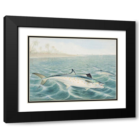 Red Drum Black Modern Wood Framed Art Print with Double Matting by Kilbourne, Samuel