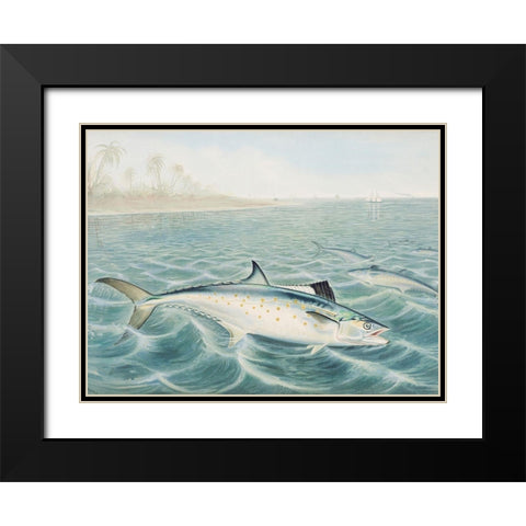 Red Drum Black Modern Wood Framed Art Print with Double Matting by Kilbourne, Samuel