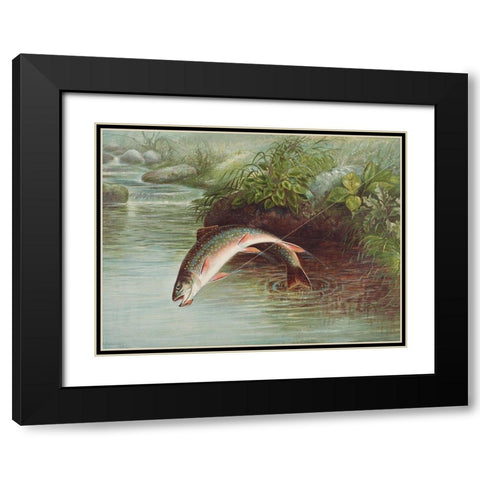 Leaping Brook Trout Black Modern Wood Framed Art Print with Double Matting by Kilbourne, Samuel