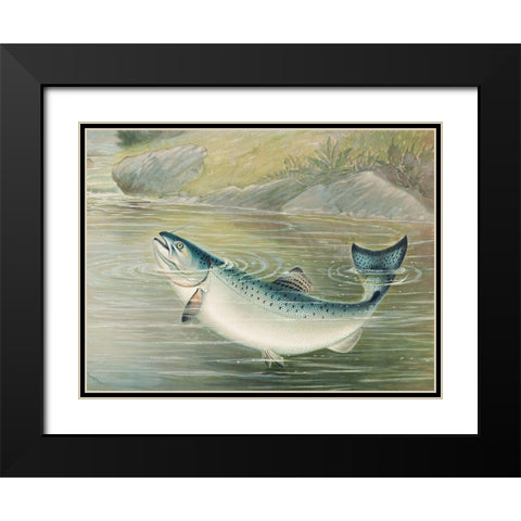 The California salmon Black Modern Wood Framed Art Print with Double Matting by Kilbourne, Samuel
