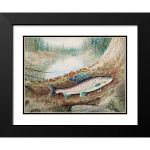 Arctic Grayling Black Modern Wood Framed Art Print with Double Matting by Kilbourne, Samuel