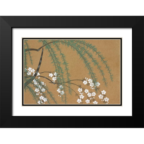 Blossoms from Momoyogusa Black Modern Wood Framed Art Print with Double Matting by Sekka, Kamisaka