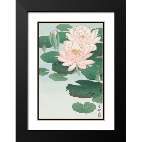 Water Lily Black Modern Wood Framed Art Print with Double Matting by Koson, Ohara