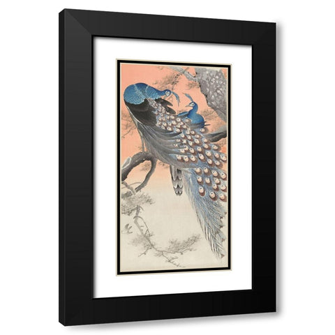 Two peacocks on tree branch Black Modern Wood Framed Art Print with Double Matting by Koson, Ohara