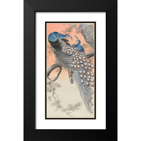 Two peacocks on tree branch Black Modern Wood Framed Art Print with Double Matting by Koson, Ohara