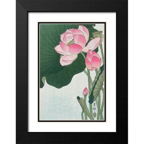 Blooming lotus flowers Black Modern Wood Framed Art Print with Double Matting by Koson, Ohara