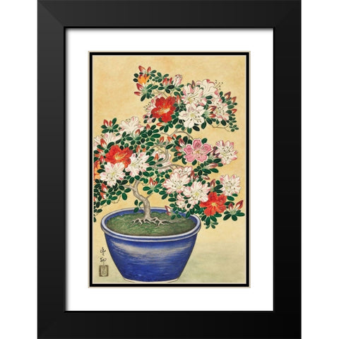 Blooming azalea in blue pot Black Modern Wood Framed Art Print with Double Matting by Koson, Ohara