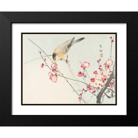 Songbird on blossom branch Black Modern Wood Framed Art Print with Double Matting by Koson, Ohara