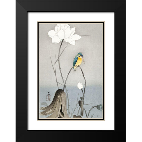 Kingfisher with Lotus Flower Black Modern Wood Framed Art Print with Double Matting by Koson, Ohara