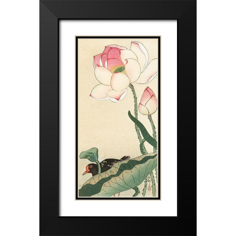 Gallinule with Lotus Flowers Black Modern Wood Framed Art Print with Double Matting by Koson, Ohara