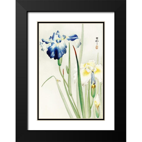 Irises Black Modern Wood Framed Art Print with Double Matting by Koson, Ohara