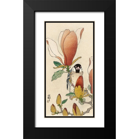 Sparrow on blooming magnolia branch Black Modern Wood Framed Art Print with Double Matting by Koson, Ohara
