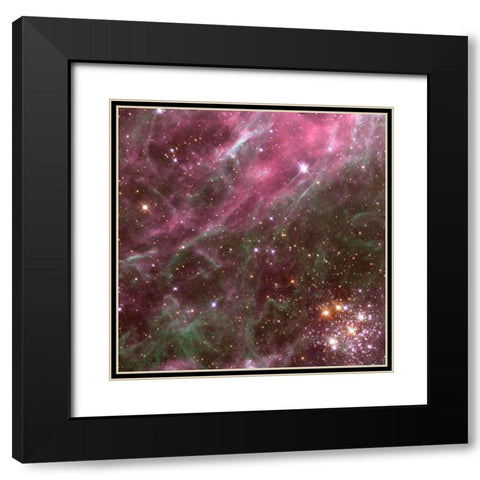 Tarantula Nebula Black Modern Wood Framed Art Print with Double Matting by NASA