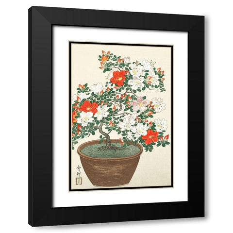 Blooming azalea in brown pot Black Modern Wood Framed Art Print with Double Matting by Koson, Ohara