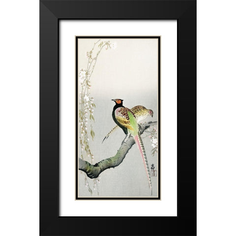 Couple pheasants and cherry blossom Black Modern Wood Framed Art Print with Double Matting by Koson, Ohara